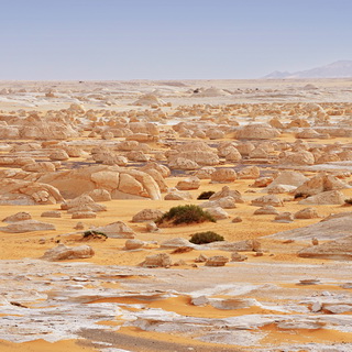 Old White Desert